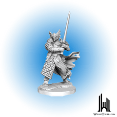 D&D Frameworks: Dragonborn Paladin Male